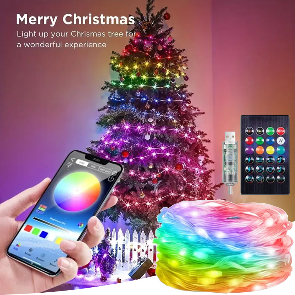 Smart Garden Festoon Lights - RGBIC Smart String Lights USB Powered