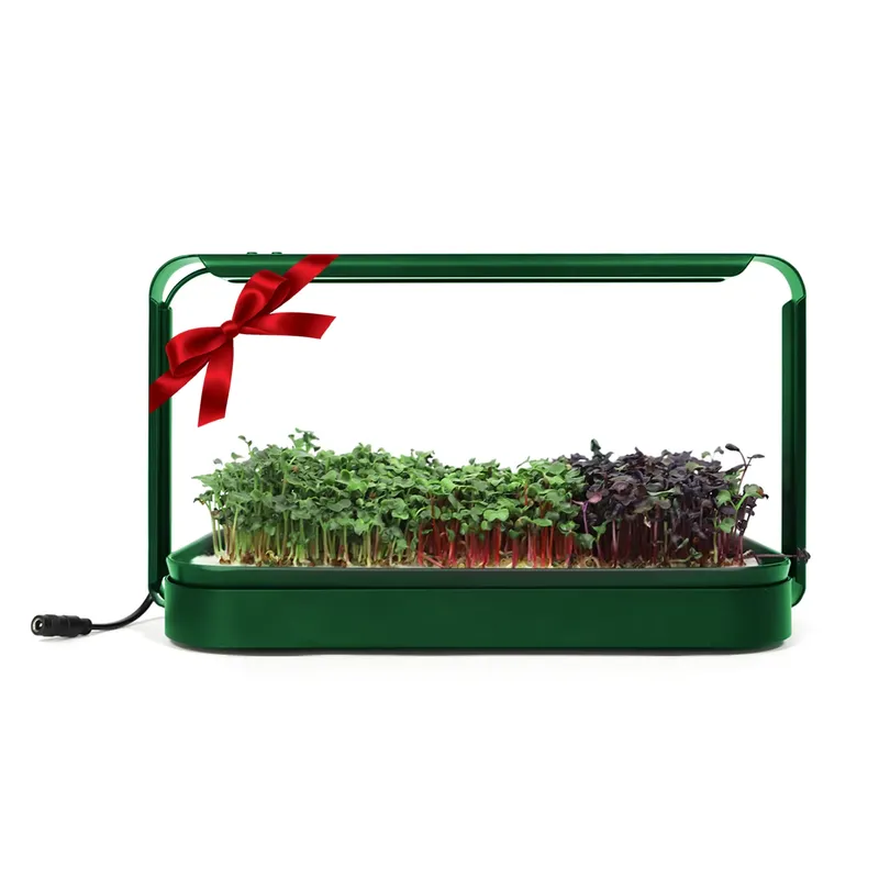 Smart Garden Ideas - Christmas Gift Ideas Diy Home Hanging