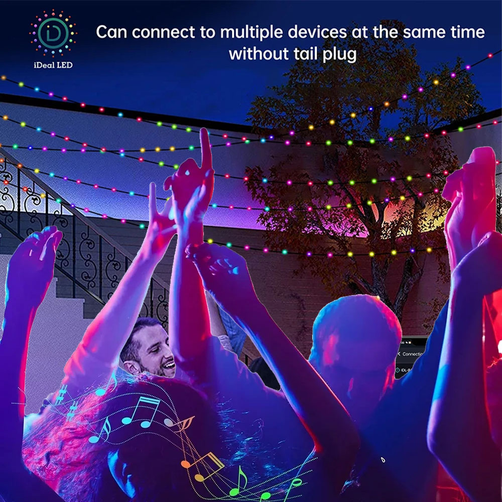 RGBIC Smart String Lights USB  - огляд і ціна Smart Garden Festoon Lights