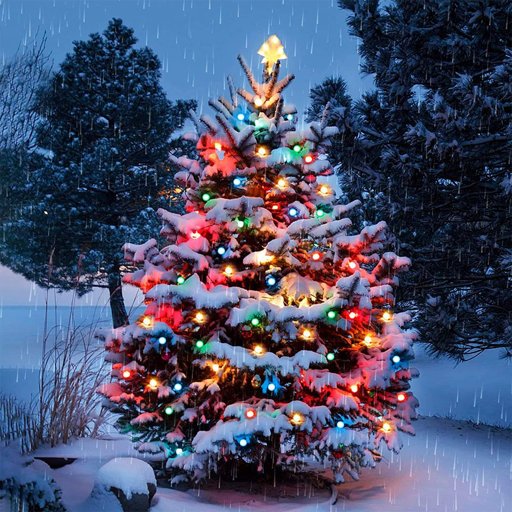 Smart LEDs Bulb String Light U - огляд і ціна Smart Garden Festoon Lights