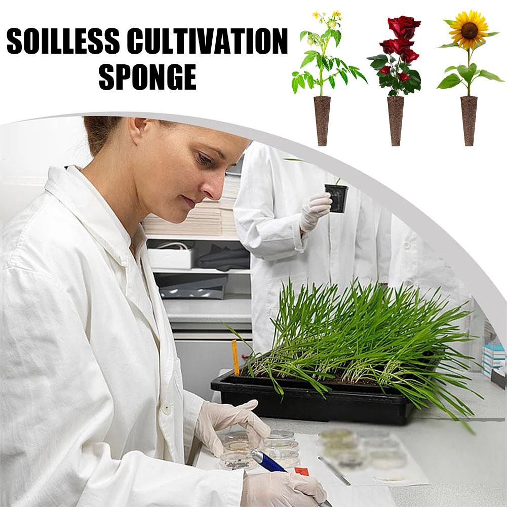 50Pcs Seed Grow Sponges Replac - огляд і ціна Aerogarden Seed Pod