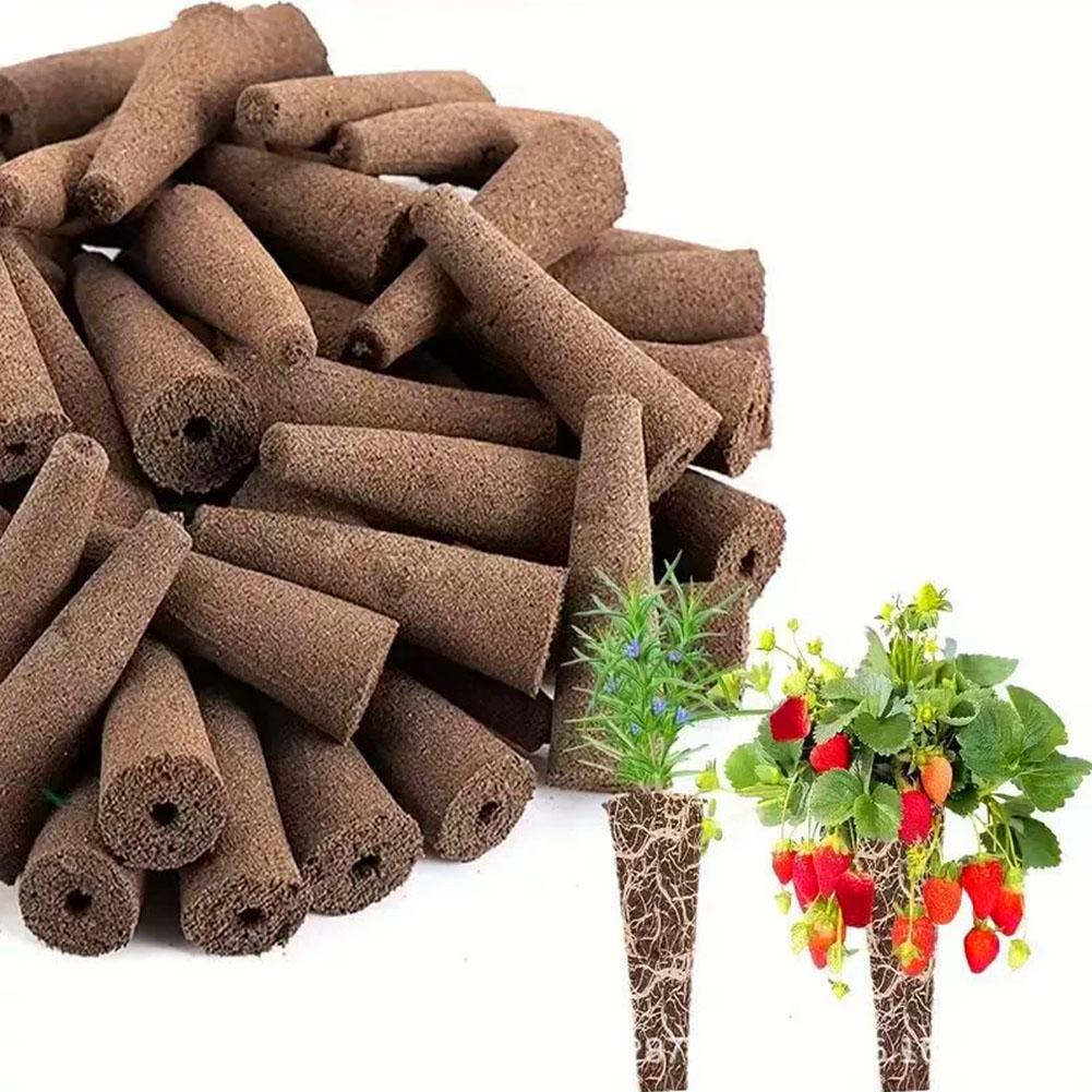 50Pcs Seed Grow Sponges Replac - огляд і ціна Aerogarden Seed Pod