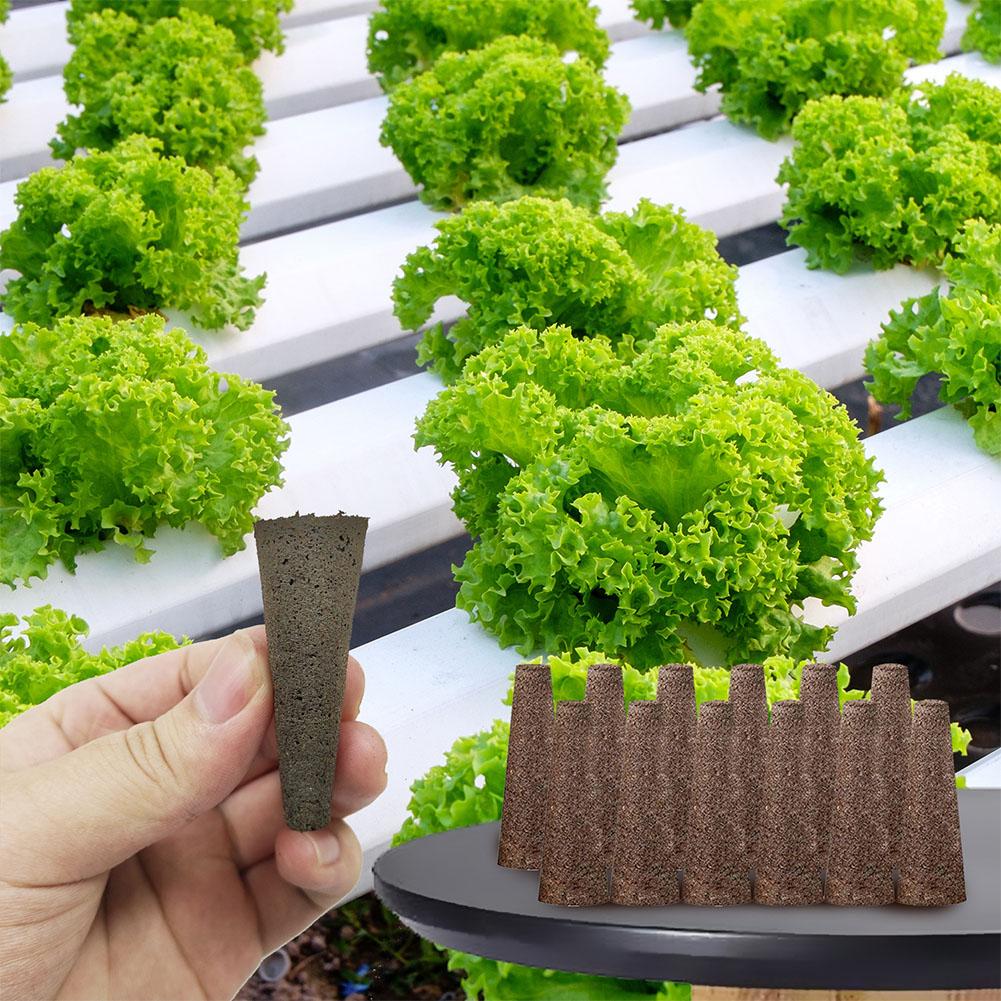 50Pcs Seed Grow Sponges Replac - огляд і ціна Aerogarden Seed Pod