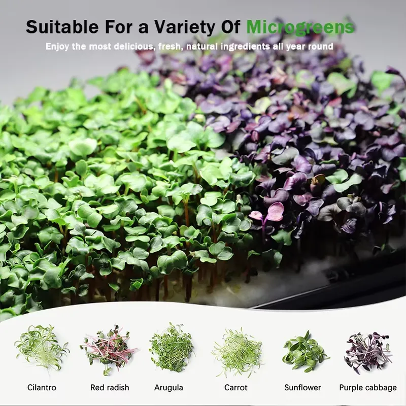 Christmas Gift Ideas Diy Home  - огляд і ціна Smart Garden Ideas