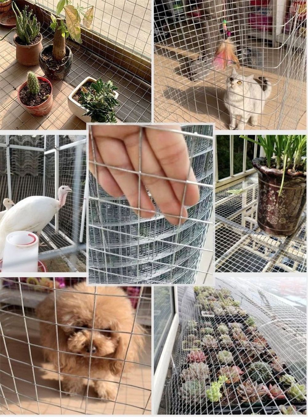 Hot Dip Galvanized Breeding We - огляд і ціна Smart Garden Fence