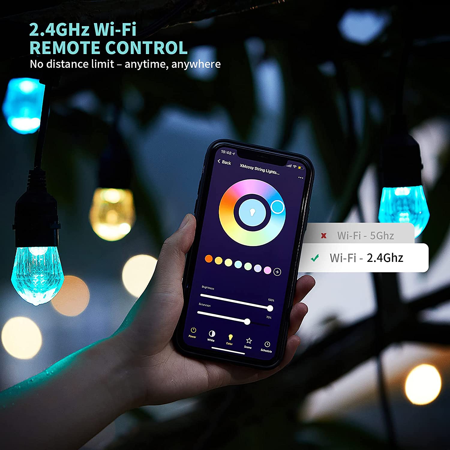 WiFi Tuya Smart RGB LED String - огляд і ціна Smart Garden Festoon Lights
