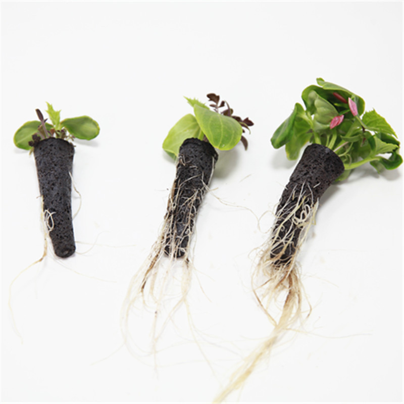 50/100pcs Plant Grow Basket Fo - огляд і ціна Aerogarden Seed Pod