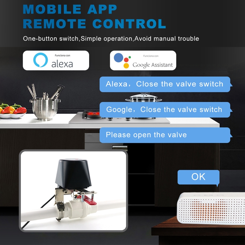 Tuya Smart Gas Valve WIFI Gard - огляд і ціна Wifi Irrigation Timer