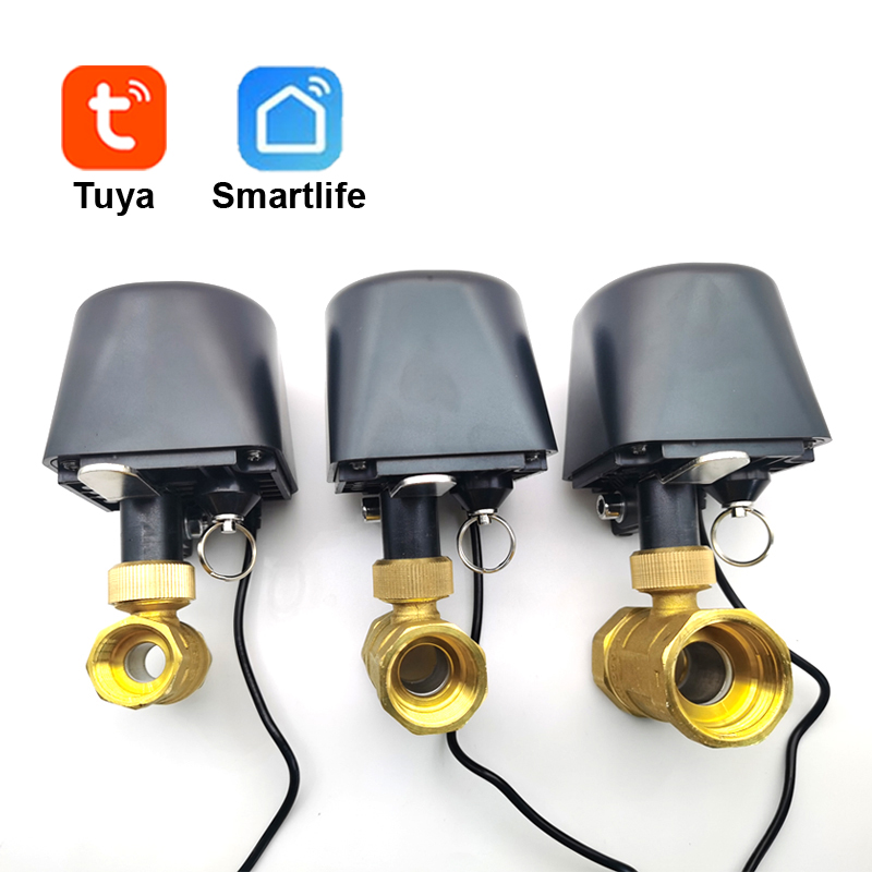 Tuya WiFi or Zigbee Water Valv - огляд і ціна Wifi Irrigation Timer